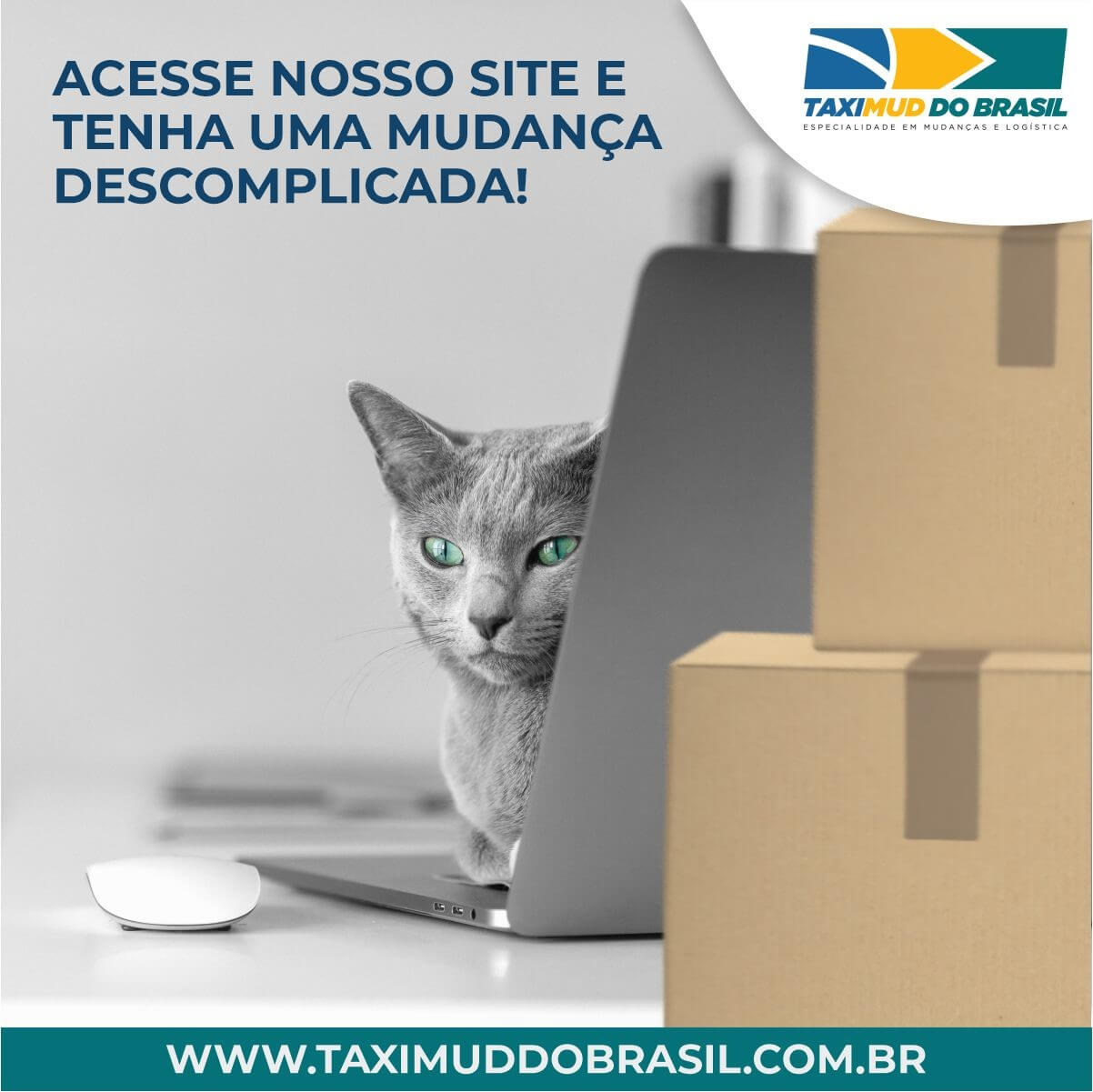 Acesse nosso site e tenha uma mudan\u00e7a descomplicada - Mudan\u00e7a Fortaleza ...